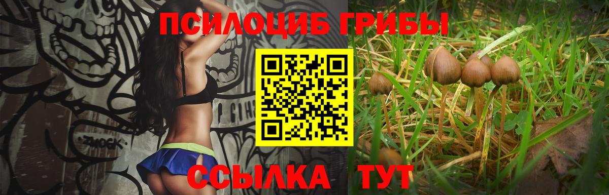 Галлюциногенные грибы мицелий  Вход с VPN  хочу наркоту  Новоалександровск  Галлюциногенные грибы прущие грибы 