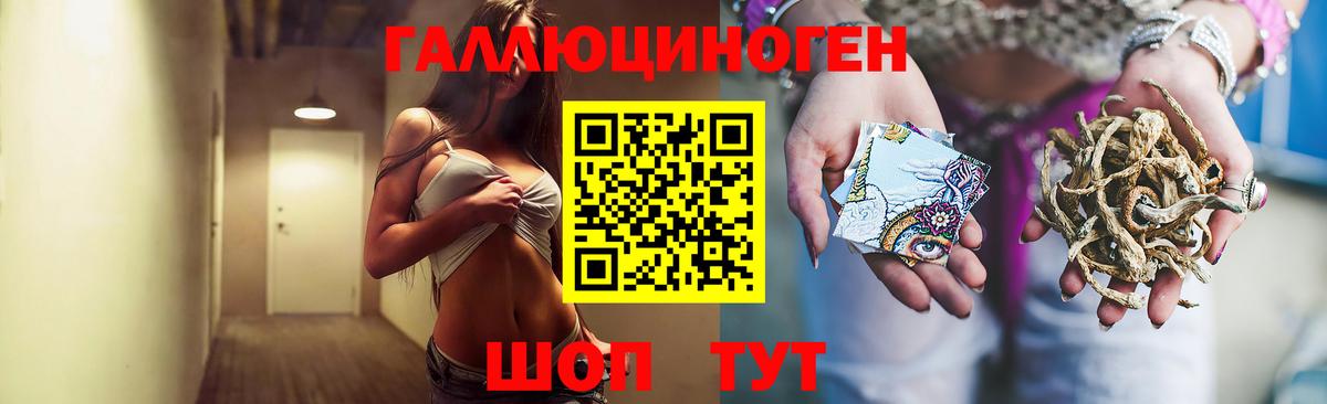 Галлюциногенные грибы мухоморы Новоалександровск